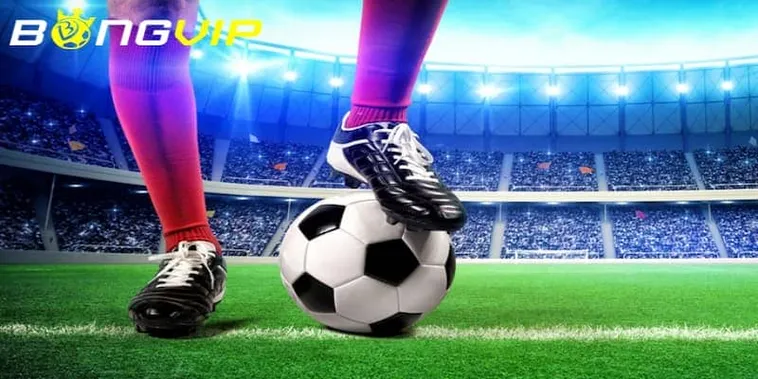 Đánh Giá Nhà Cái Bongvip Chi Tiết Về Uy Tín, Sản Phẩm Và Khuyến Mãi