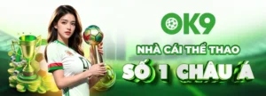 Đánh Giá Nhà Cái OK9 Chi Tiết Năm 2026 – Uy Tín Và Dịch Vụ Toàn Diện